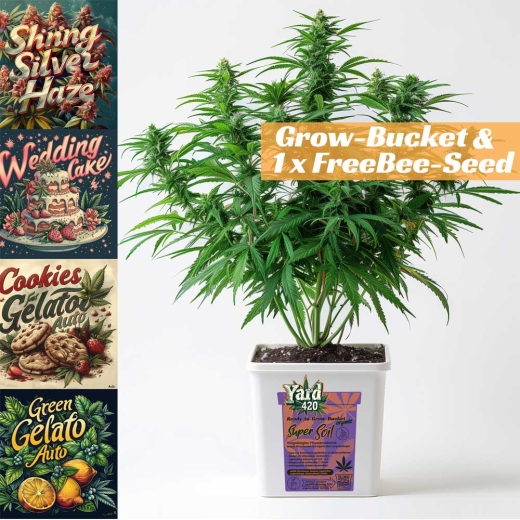 Grow Bucket Super Soil organic